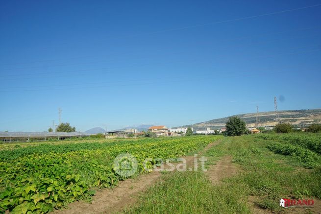 Terreno agricolo in commerciale in Via BOSCARIELLO