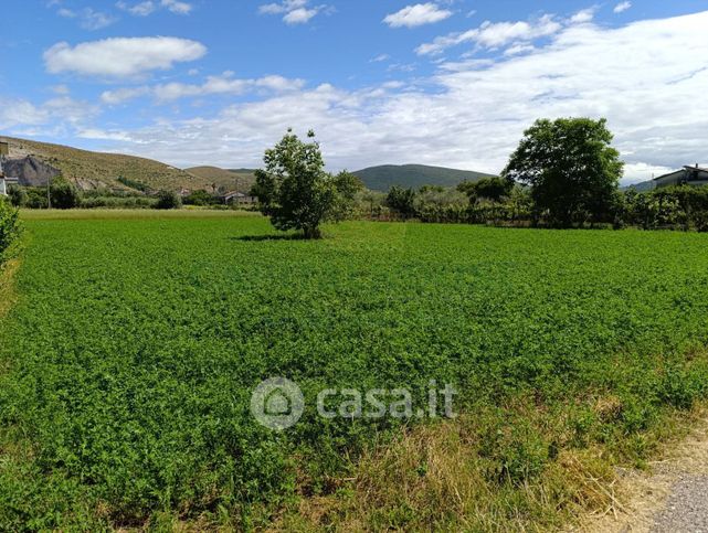 Terreno agricolo in commerciale in Via Miceli