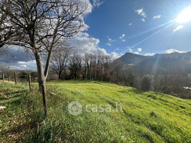 Terreno agricolo in commerciale in Via Uffogliano 14