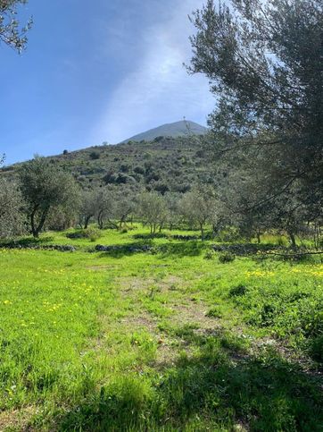 Terreno agricolo in commerciale in Via Torretta