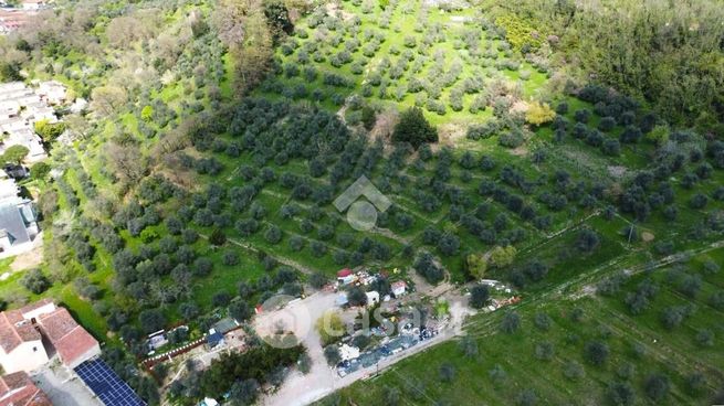 Terreno agricolo in commerciale in Via San Felice e Piteccio