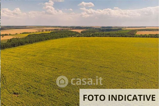 Terreno agricolo in commerciale in Via Desman