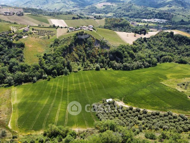 Terreno agricolo in commerciale in Contrada Pezzalunga