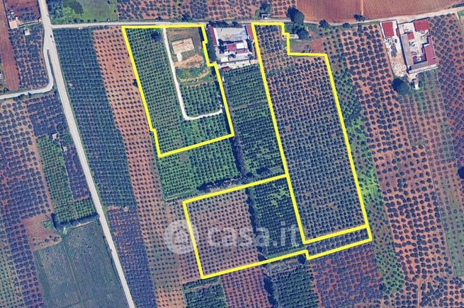 Terreno agricolo in commerciale in Via Adua