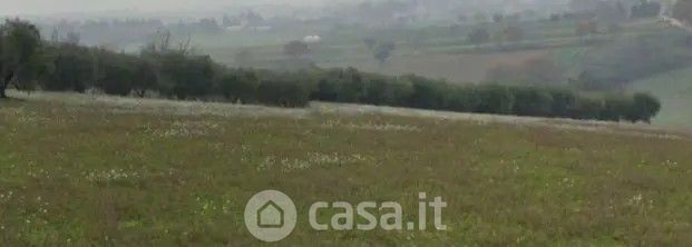 Terreno agricolo in commerciale in Contrada Crocette
