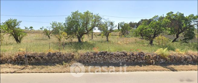 Terreno agricolo in commerciale in Strada Provinciale 151