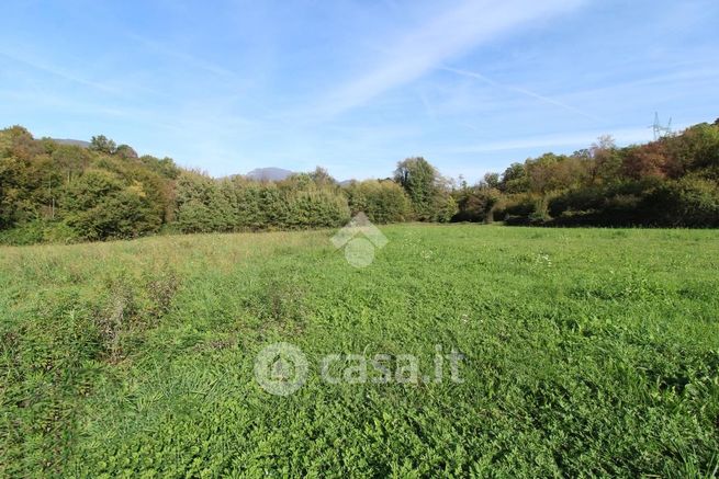 Terreno agricolo in commerciale in Via Tormini