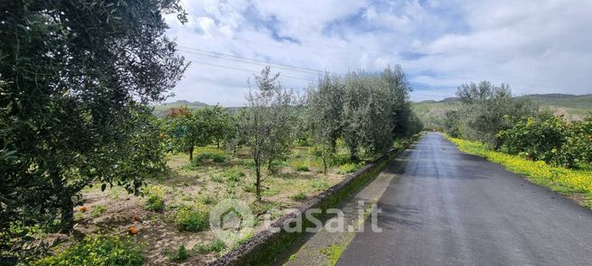 Terreno agricolo in commerciale in Contrada Salinella