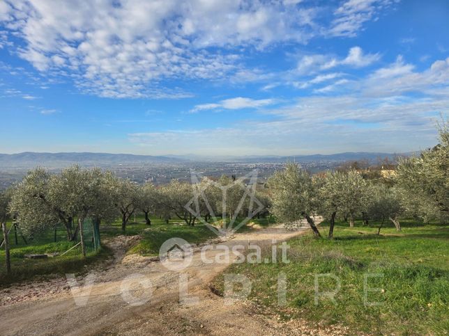 Terreno agricolo in commerciale in Via Fosso delle Carceri