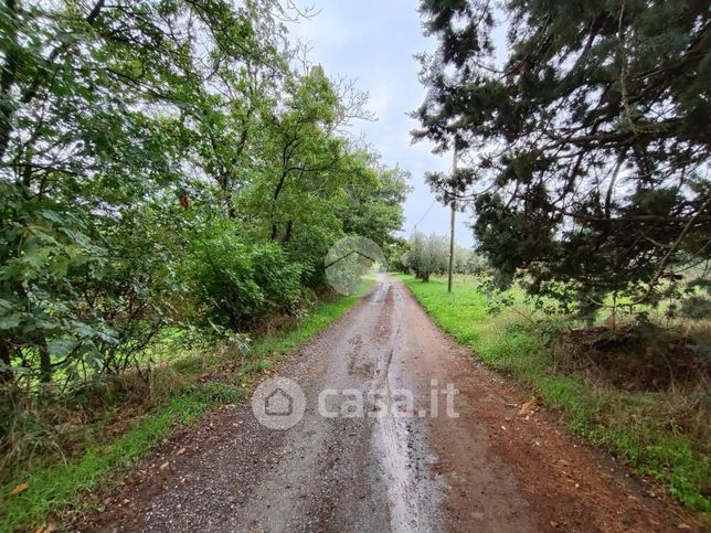 Terreno agricolo in commerciale in Via Cassia Nord