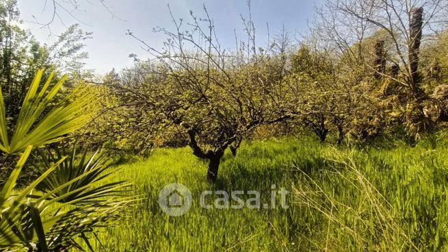 Terreno agricolo in commerciale in Via Solferino