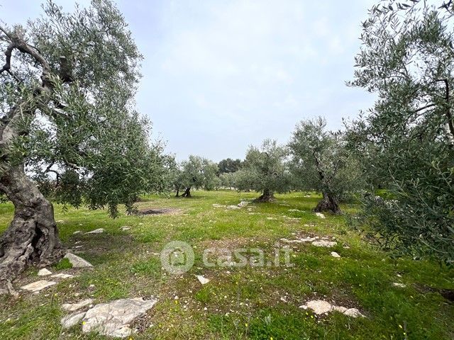 Terreno agricolo in commerciale in 