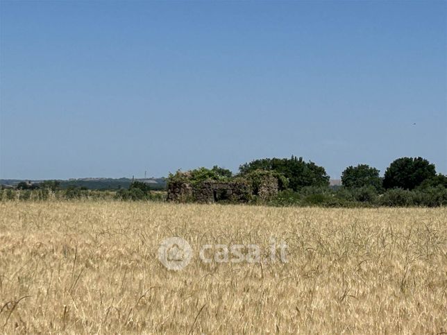 Terreno agricolo in commerciale in