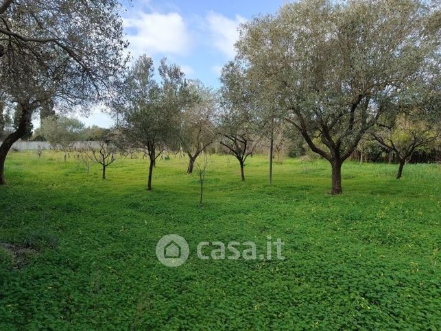 Terreno agricolo in commerciale in 