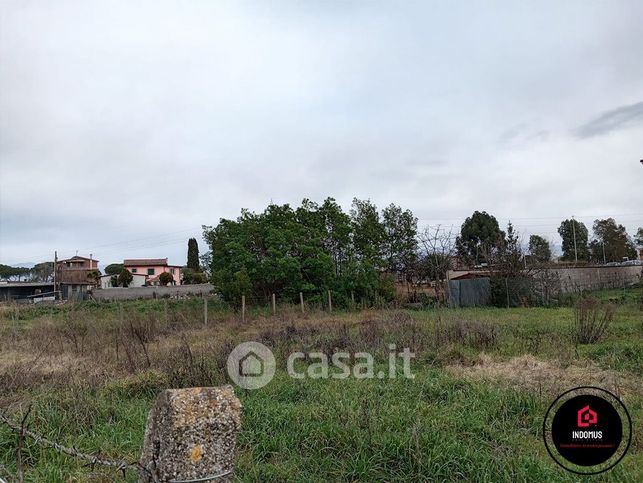 Terreno agricolo in commerciale in Via Vaccarizzo Albanese 83