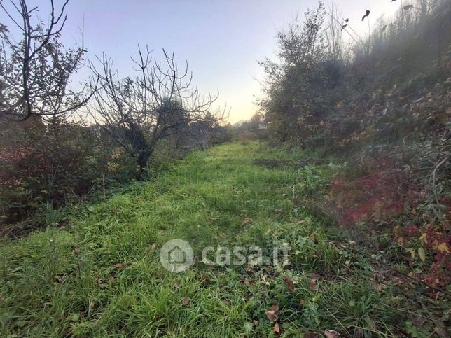 Terreno agricolo in commerciale in Via delle Puglie