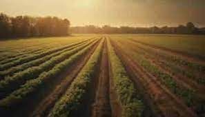 Terreno agricolo in commerciale in Via Benedetto Marcello