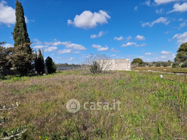 Terreno agricolo in commerciale in LocalitÃ  san Sidero