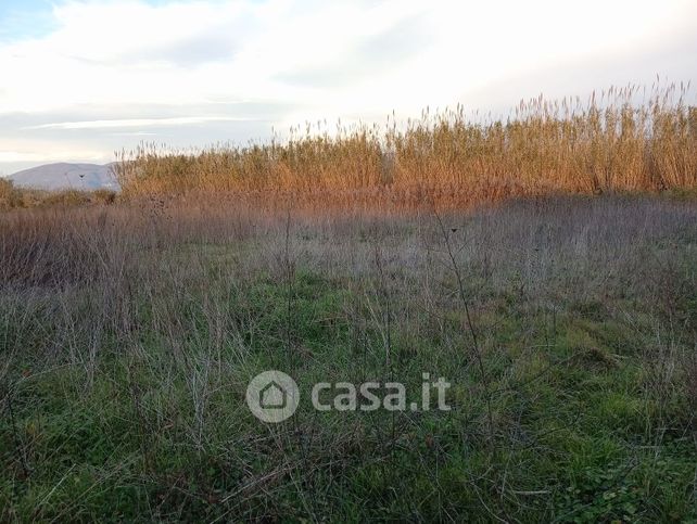 Terreno agricolo in commerciale in Via Lo Porto