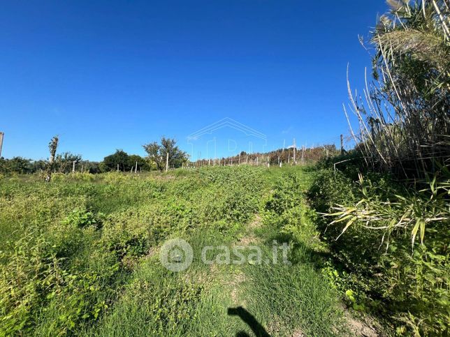 Terreno agricolo in commerciale in Strada Provinciale Scalandrone