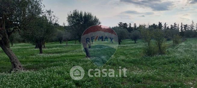 Terreno agricolo in commerciale in Contrada Scaro