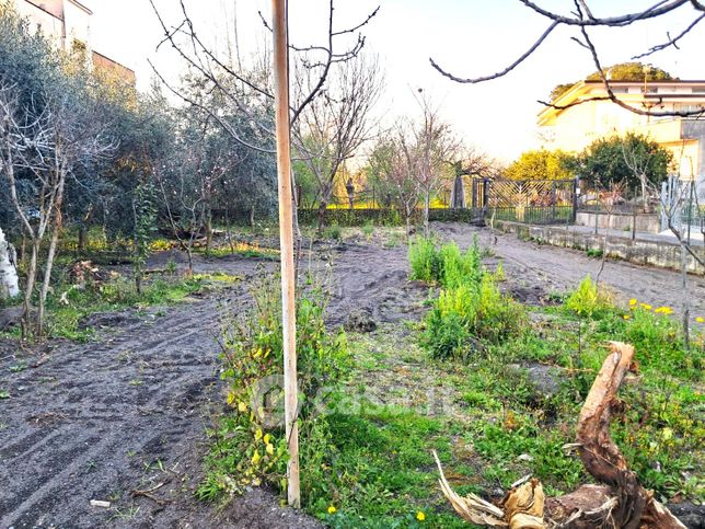 Terreno agricolo in commerciale in Viale San Domenico