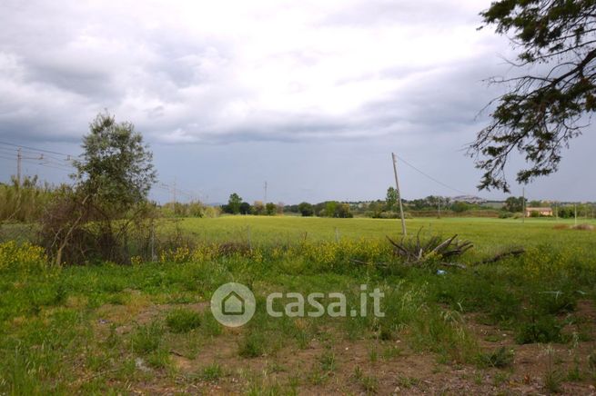 Terreno agricolo in commerciale in 