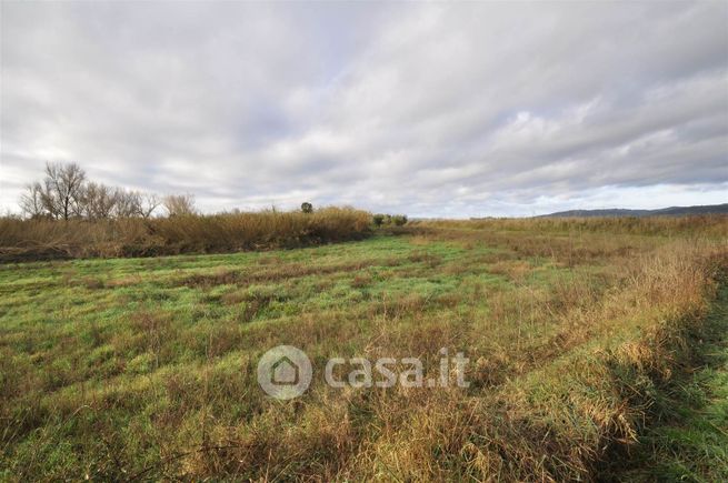 Terreno agricolo in commerciale in 