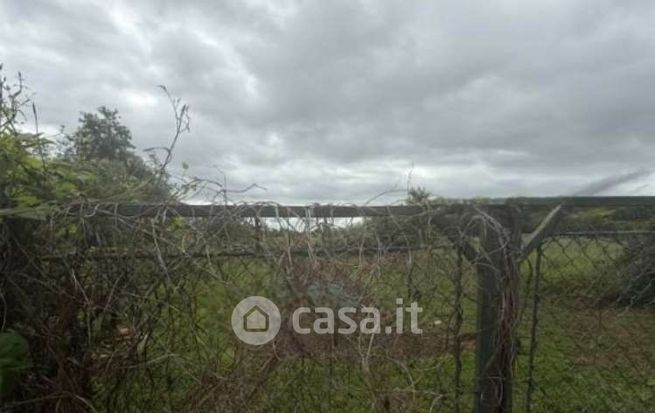 Terreno agricolo in commerciale in Via Santa Maria