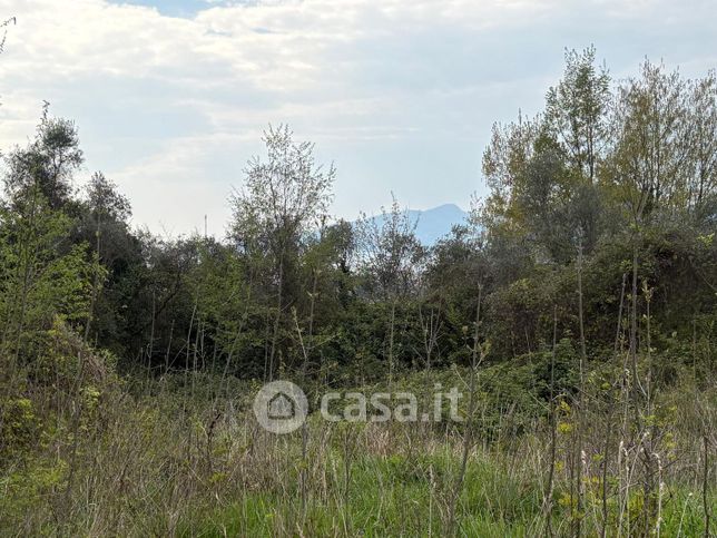 Terreno agricolo in commerciale in LocalitÃ  San Bernardo