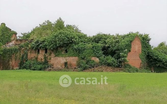 Terreno agricolo in commerciale in Via Olmeneta 15