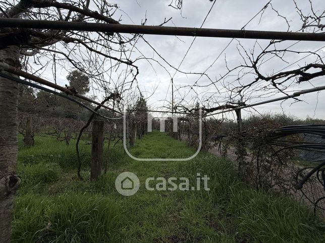 Terreno agricolo in commerciale in Via di Fontana Rondanini