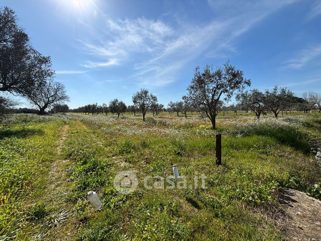 Terreno agricolo in commerciale in Contrada Aquila
