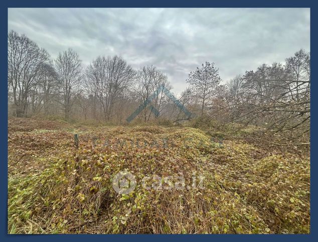 Terreno agricolo in commerciale in Via per Menzago