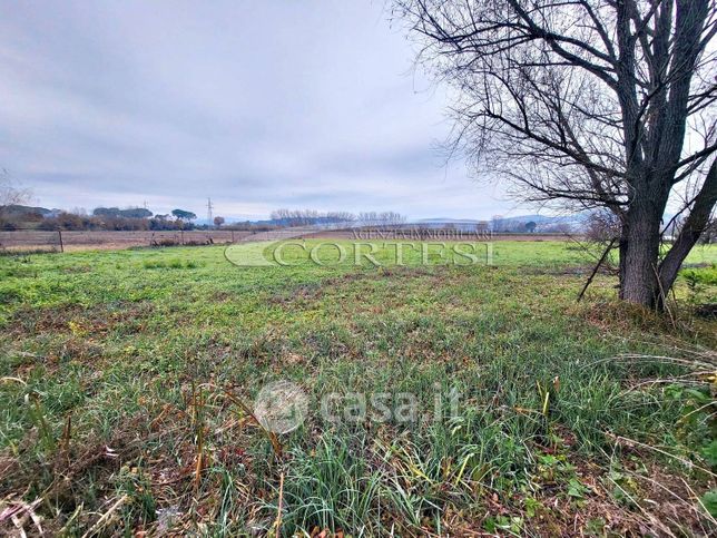 Terreno agricolo in commerciale in 