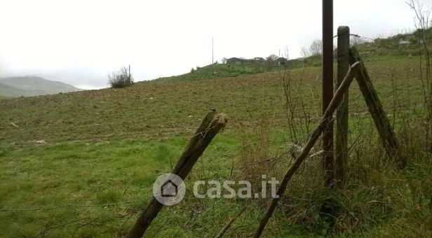 Terreno agricolo in commerciale in Strada Provinciale 78