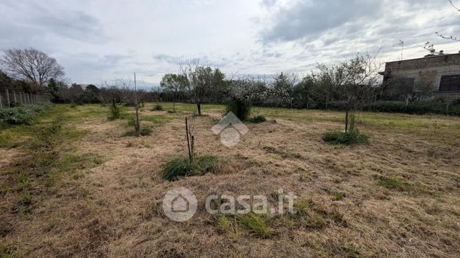 Terreno agricolo in commerciale in Via Monachelle Vecchia