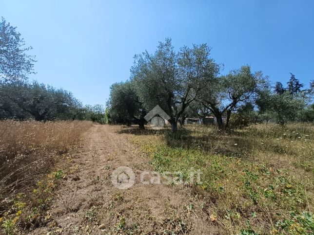 Terreno agricolo in commerciale in Via della Bandita