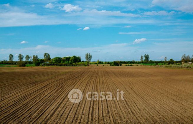 Terreno agricolo in commerciale in Via del Ponte