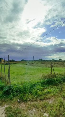 Terreno agricolo in commerciale in Strada del Gorgo