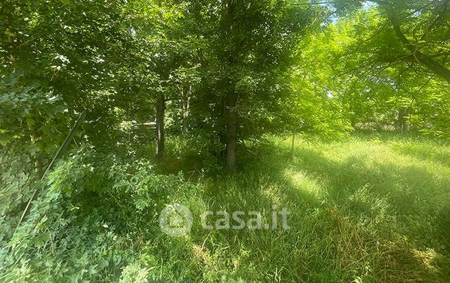 Terreno agricolo in commerciale in Località Fosci 24 -/R