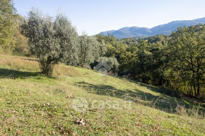 Terreno agricolo in commerciale in 