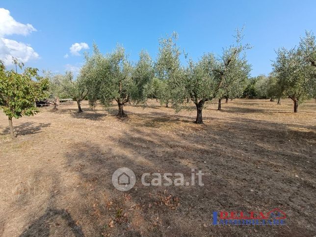 Terreno agricolo in commerciale in