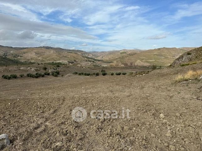 Terreno agricolo in commerciale in Contrada LUPONERO