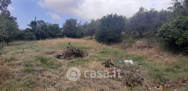 Terreno agricolo in commerciale in Via delle Vallicelle 19 -/A