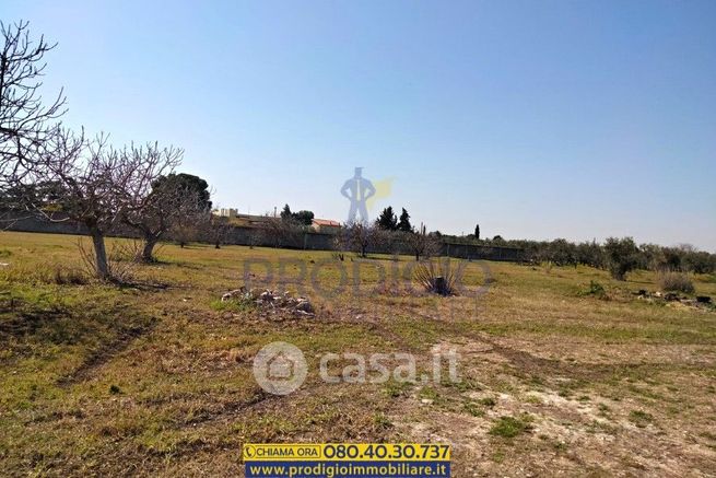 Terreno agricolo in commerciale in Via degli Aragonesi