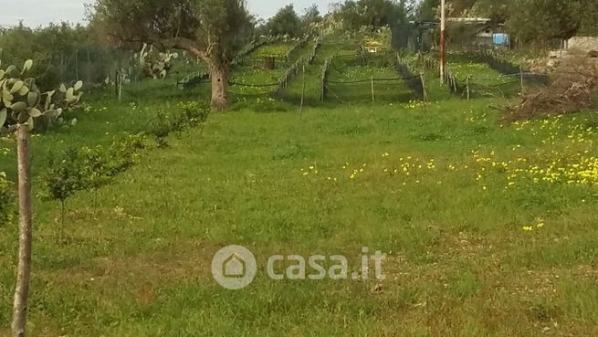 Terreno agricolo in commerciale in