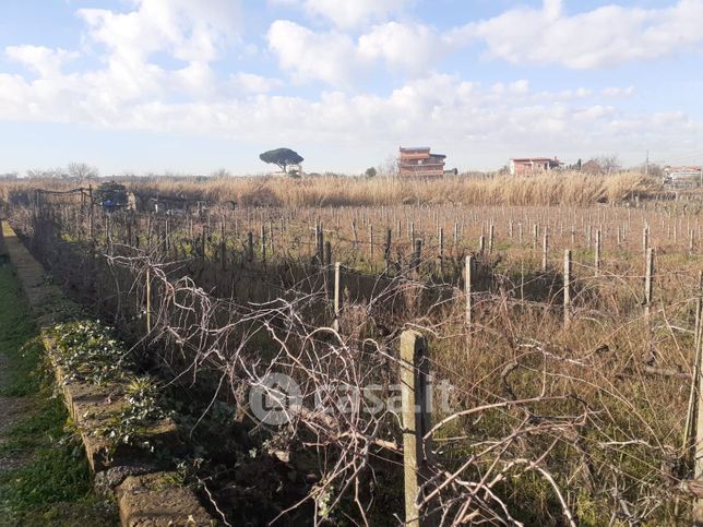 Terreno agricolo in commerciale in Via isola del Giglio 11