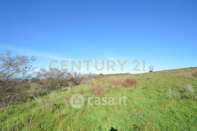 Terreno agricolo in commerciale in Strada Provinciale Montiano