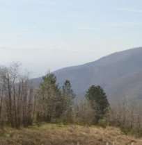 Terreno agricolo in commerciale in Via Martiri della Libertà